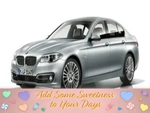 2016 BMW 5-Series 528i