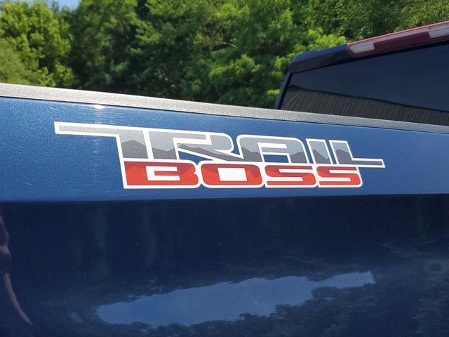2021 Northsky Blue Metallic /BLACK Chevrolet Silverado 1500 Custom Trail Boss (1GCPYCEF8MZ) with an EcoTec3 5.3L V8 engine, Automatic transmission, located at 6064 Gull Rd, Kalamazoo, MI, 49048, (269) 222-0088, 42.328388, -85.512924- Photo#5